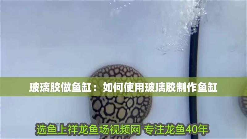 玻璃膠做魚缸：如何使用玻璃膠制作魚缸