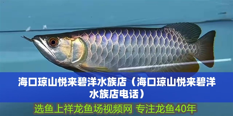 海口瓊山悅來碧洋水族店（海口瓊山悅來碧洋水族店電話）