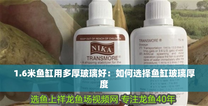 1.6米魚缸用多厚玻璃好：如何選擇魚缸玻璃厚度