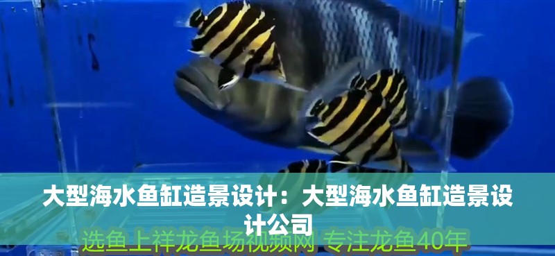大型海水魚缸造景設(shè)計(jì)：大型海水魚缸造景設(shè)計(jì)公司