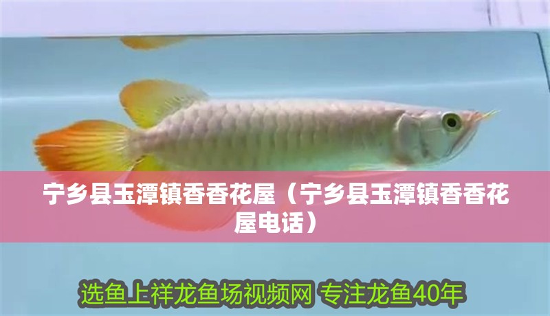 寧鄉縣玉潭鎮香香花屋（寧鄉縣玉潭鎮香香花屋電話）