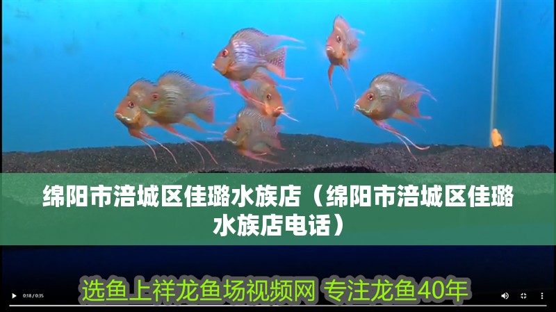 綿陽市涪城區佳璐水族店（綿陽市涪城區佳璐水族店電話） 綿陽市涪城區佳璐水族店（綿陽市涪城區佳璐水族店電話） 全國水族館企業名錄 第2張