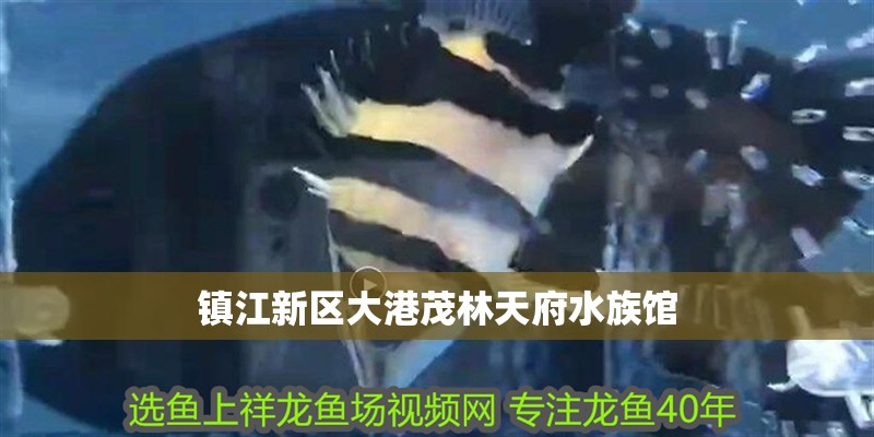 鎮(zhèn)江新區(qū)大港茂林天府水族館