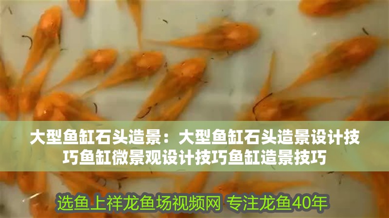 大型魚缸石頭造景：大型魚缸石頭造景設計技巧魚缸微景觀設計技巧魚缸造景技巧