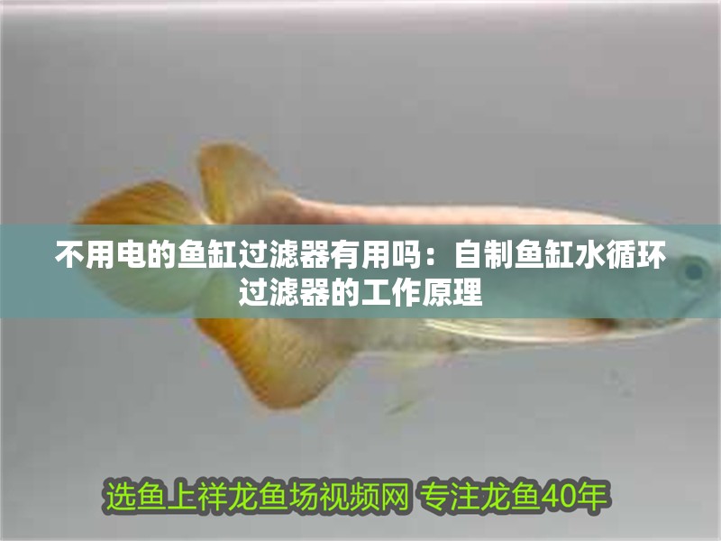 不用電的魚缸過濾器有用嗎：自制魚缸水循環過濾器的工作原理