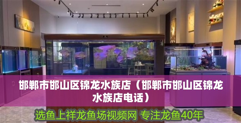 邯鄲市邯山區(qū)錦龍水族店（邯鄲市邯山區(qū)錦龍水族店電話）