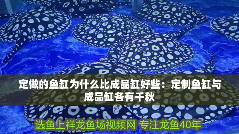 定做的魚缸為什么比成品缸好些：定制魚缸與成品缸各有千秋