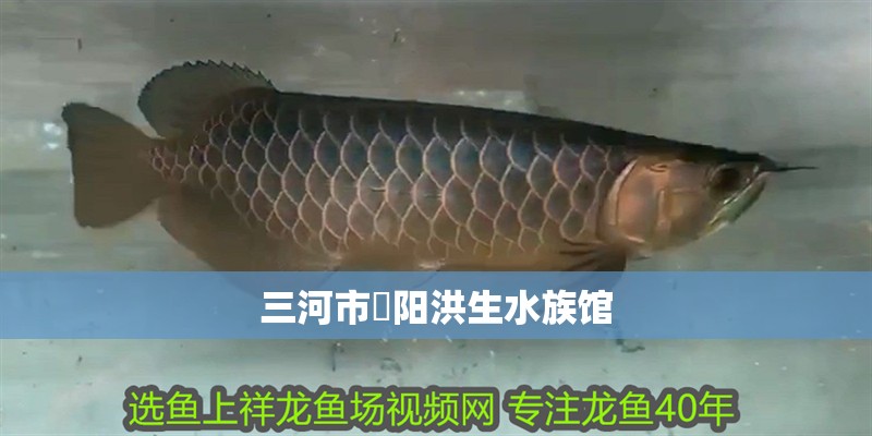 三河市泃陽洪生水族館