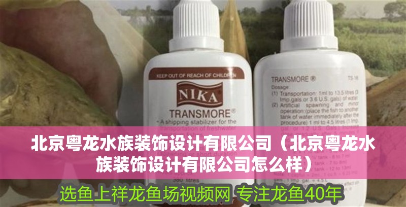 北京粵龍水族裝飾設計有限公司(北京粵龍水族裝飾設計有限公司怎么樣) 全國水族館企業名錄 北京粵龍水族裝飾設計有限公司(北京粵龍水族裝飾設計有限公司怎么樣) 北京粵龍水族裝飾設計有限公司(北京粵龍水族裝飾設計有限公司怎么樣) 全國水族館企業名錄