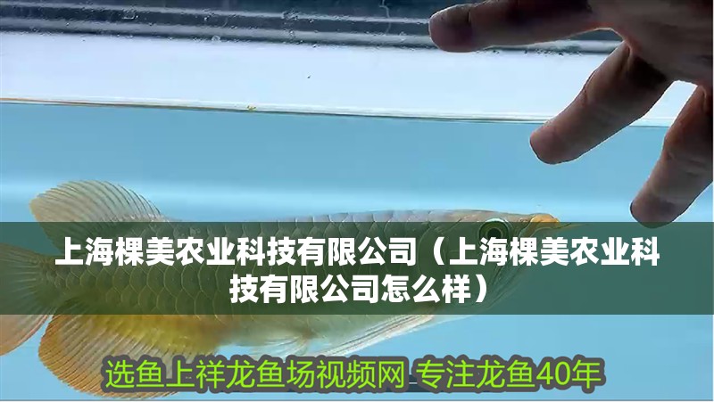 上海棵美農(nóng)業(yè)科技有限公司（上海棵美農(nóng)業(yè)科技有限公司怎么樣）