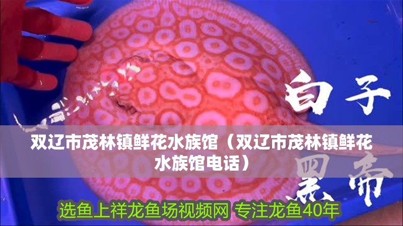 雙遼市茂林鎮鮮花水族館（雙遼市茂林鎮鮮花水族館電話）