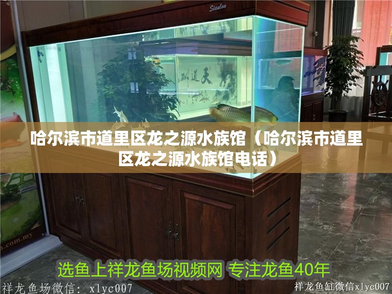 哈爾濱市道里區龍之源水族館（哈爾濱市道里區龍之源水族館電話）
