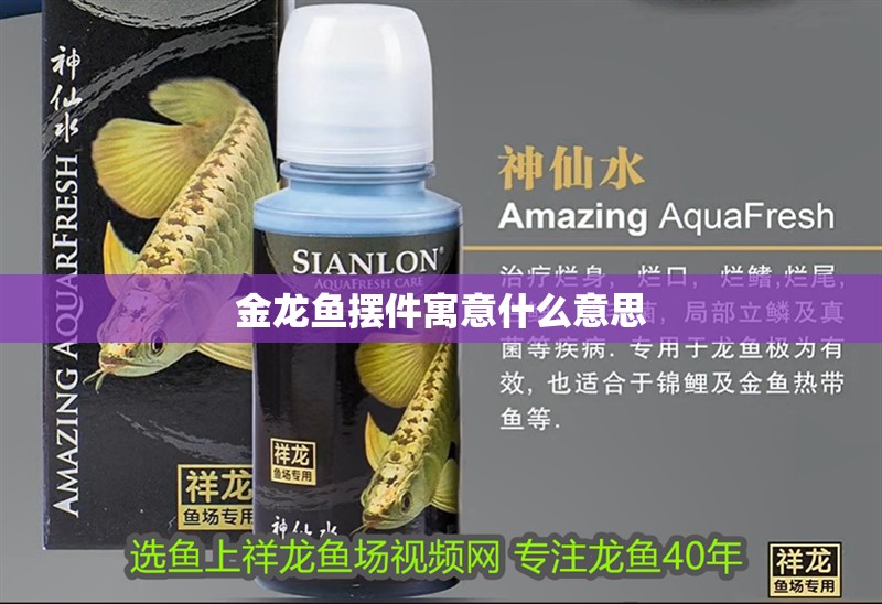 金龍魚(yú)擺件寓意什么意思
