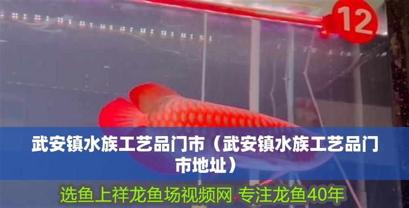 武安鎮水族工藝品門市（武安鎮水族工藝品門市地址）