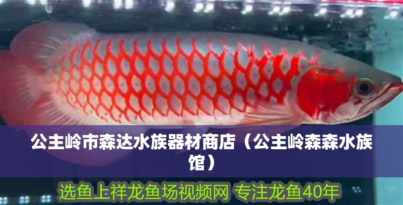 公主嶺市森達水族器材商店（公主嶺森森水族館）