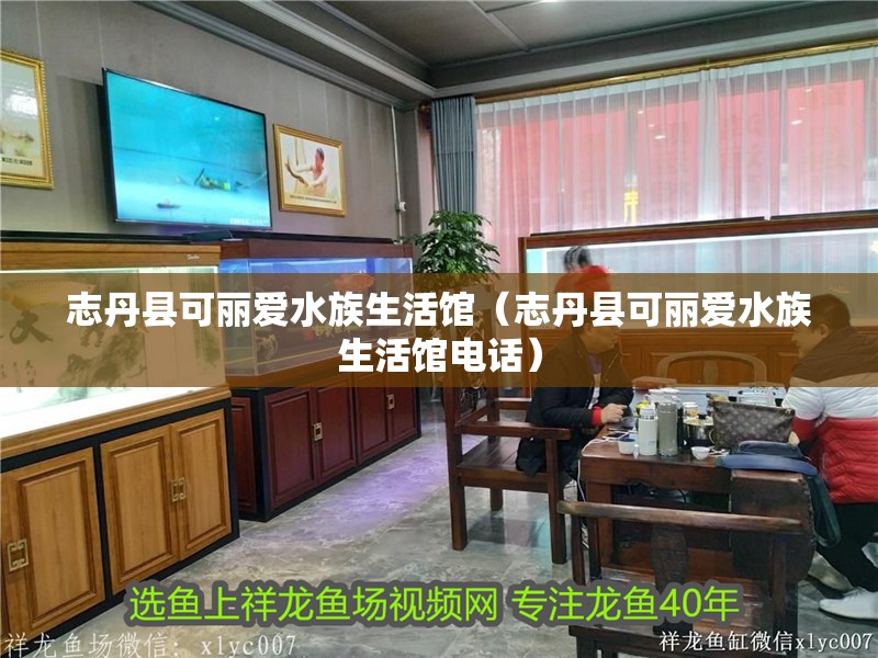 志丹縣可麗愛水族生活館（志丹縣可麗愛水族生活館電話） 志丹縣可麗愛水族生活館（志丹縣可麗愛水族生活館電話） 全國水族館企業名錄 第2張