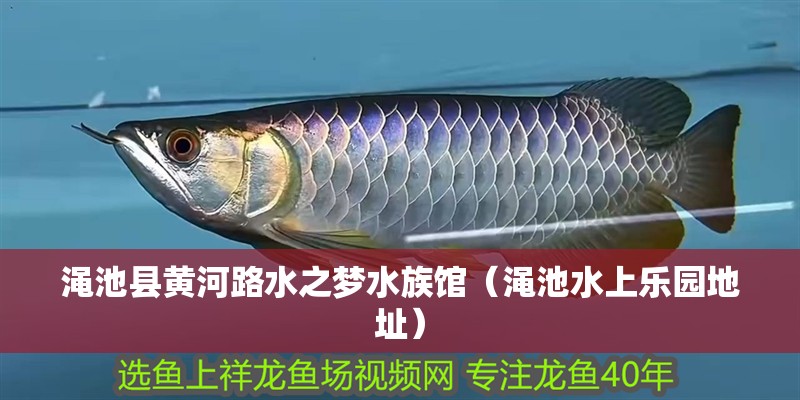 澠池縣黃河路水之夢水族館（澠池水上樂園地址）