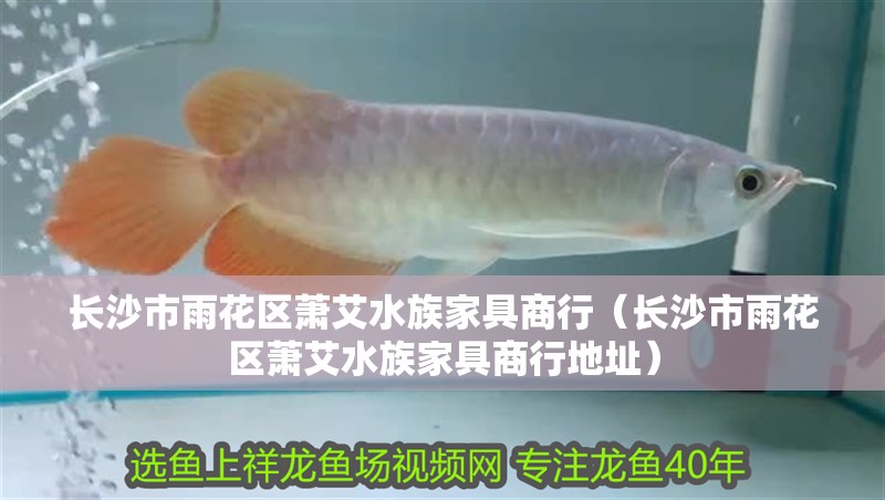 長沙市雨花區蕭艾水族家具商行（長沙市雨花區蕭艾水族家具商行地址）