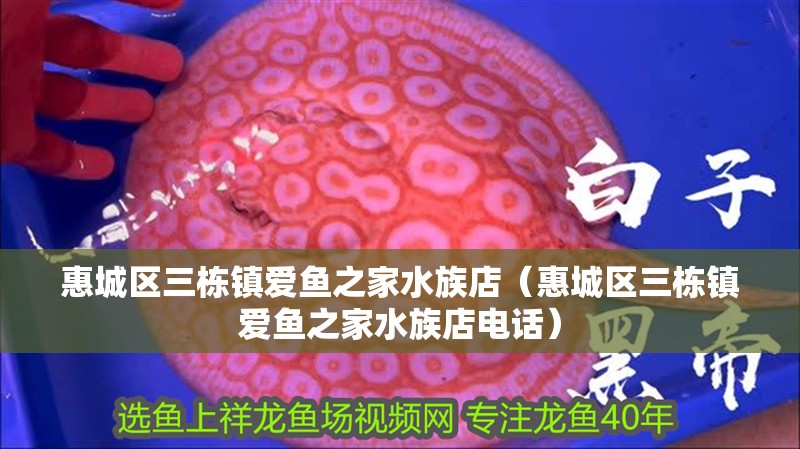 惠城區三棟鎮愛魚之家水族店（惠城區三棟鎮愛魚之家水族店電話） 惠城區三棟鎮愛魚之家水族店（惠城區三棟鎮愛魚之家水族店電話） 全國水族館企業名錄 第2張