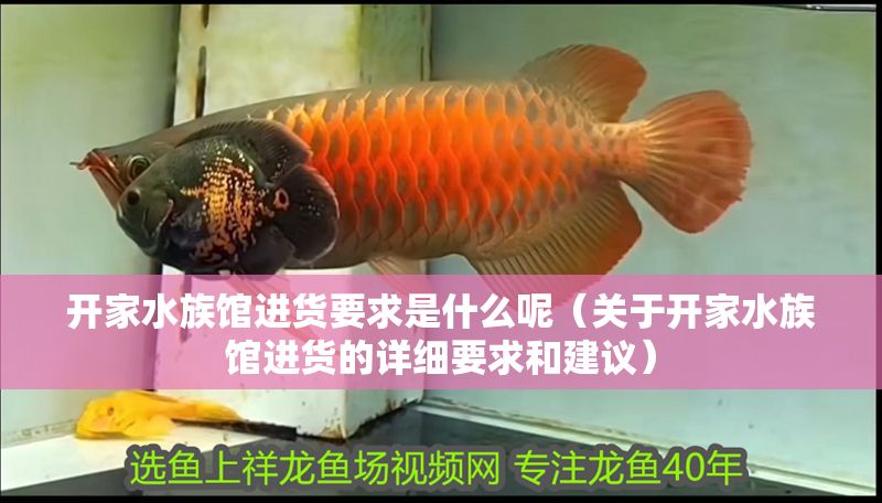 開家水族館進貨要求是什么呢（關于開家水族館進貨的詳細要求和建議）