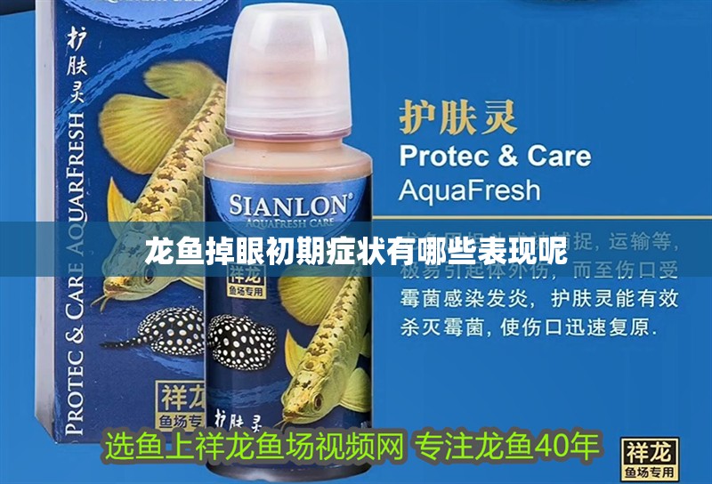 龍魚掉眼初期癥狀有哪些表現呢