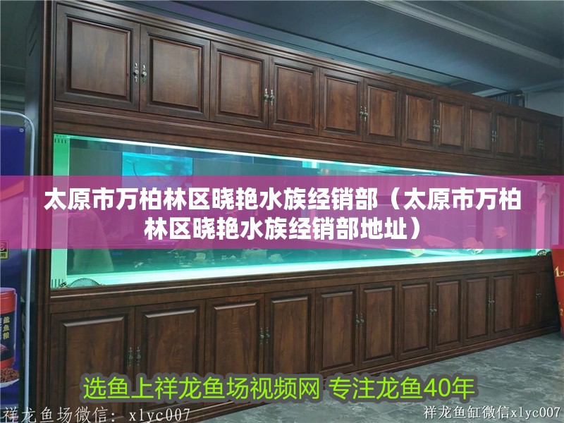 太原市萬柏林區(qū)曉艷水族經(jīng)銷部（太原市萬柏林區(qū)曉艷水族經(jīng)銷部地址）