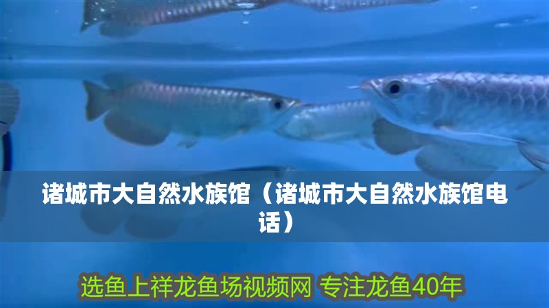 諸城市大自然水族館（諸城市大自然水族館電話）