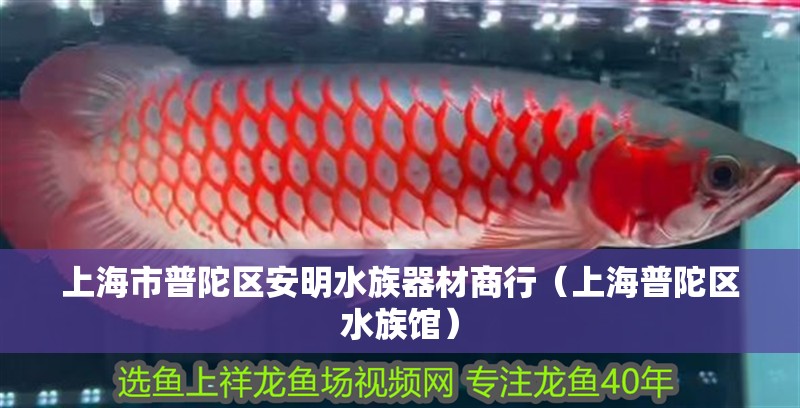 上海市普陀區安明水族器材商行（上海普陀區水族館）
