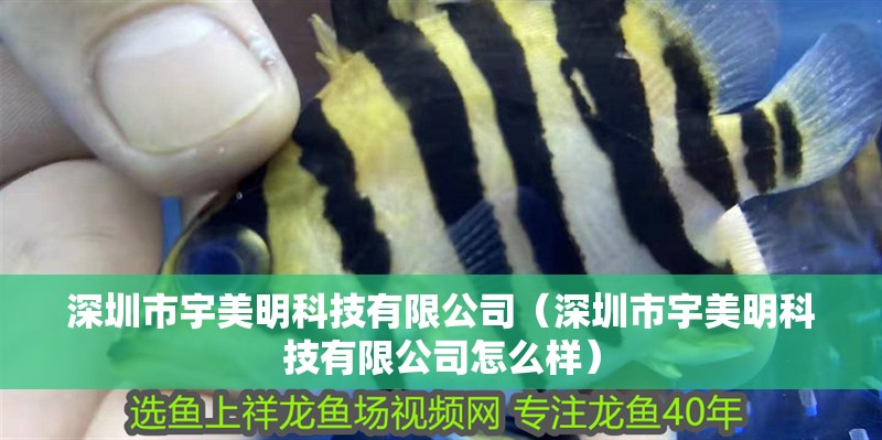 深圳市宇美明科技有限公司（深圳市宇美明科技有限公司怎么樣）
