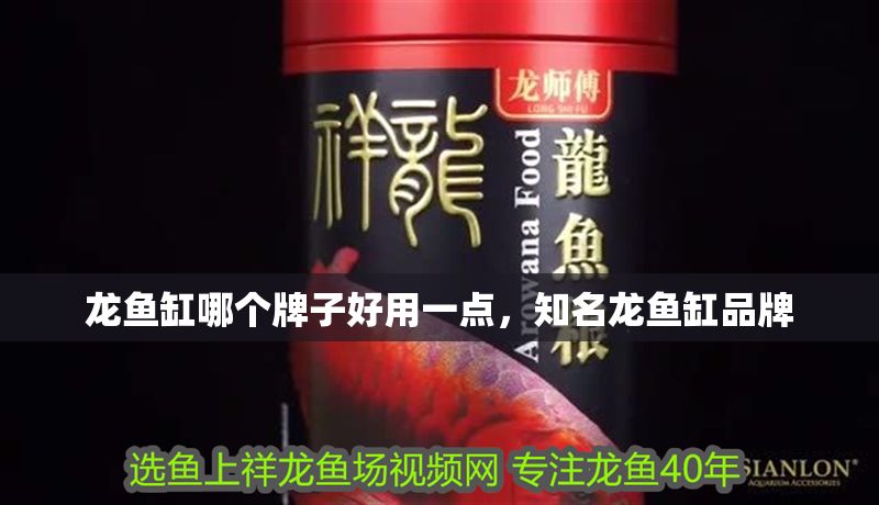 龍魚缸哪個牌子好用一點，知名龍魚缸品牌