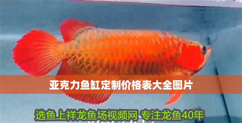 亞克力魚缸定制價(jià)格表大全圖片