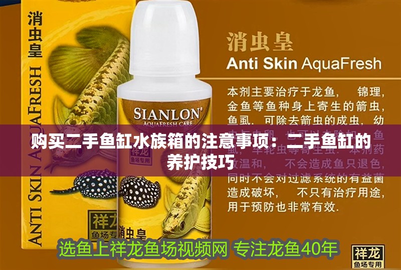 購買二手魚缸水族箱的注意事項：二手魚缸的養護技巧