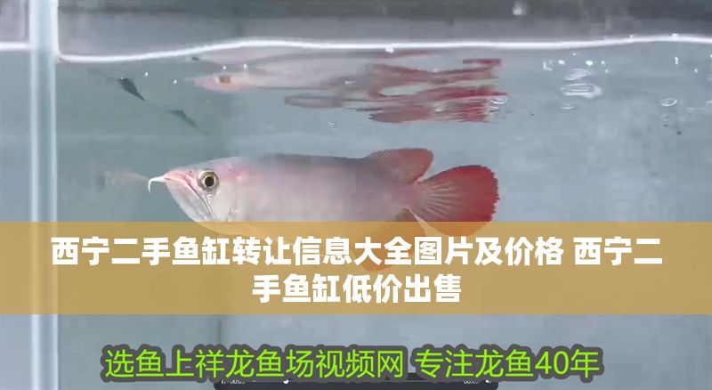 西寧二手魚缸轉讓信息大全圖片及價格 西寧二手魚缸低價出售