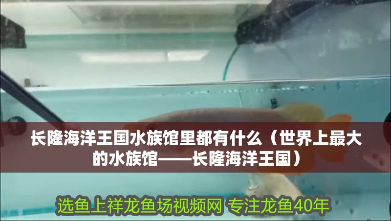 長隆海洋王國水族館里都有什么（世界上最大的水族館——長隆海洋王國）