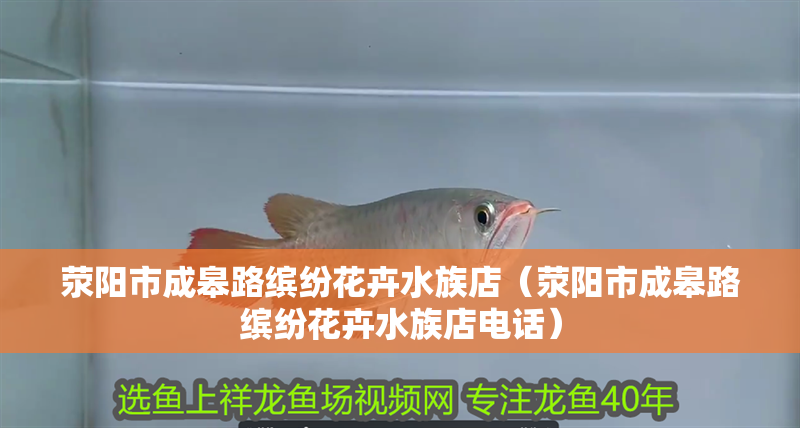 滎陽市成皋路繽紛花卉水族店（滎陽市成皋路繽紛花卉水族店電話）