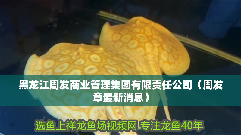 黑龍江周發商業管理集團有限責任公司（周發章最新消息）