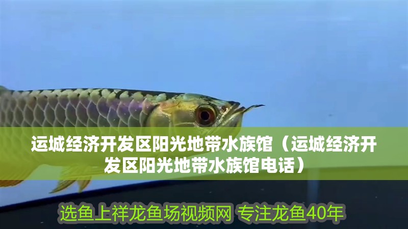 運城經濟開發區陽光地帶水族館（運城經濟開發區陽光地帶水族館電話）