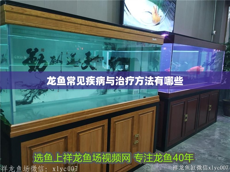 龍魚常見疾病與治療方法有哪些