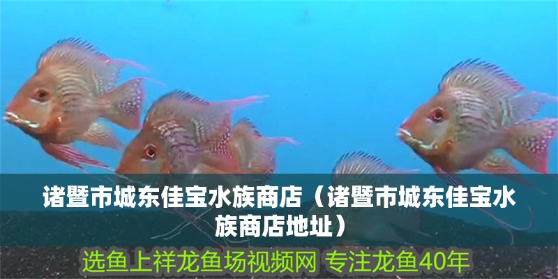 諸暨市城東佳寶水族商店（諸暨市城東佳寶水族商店地址）