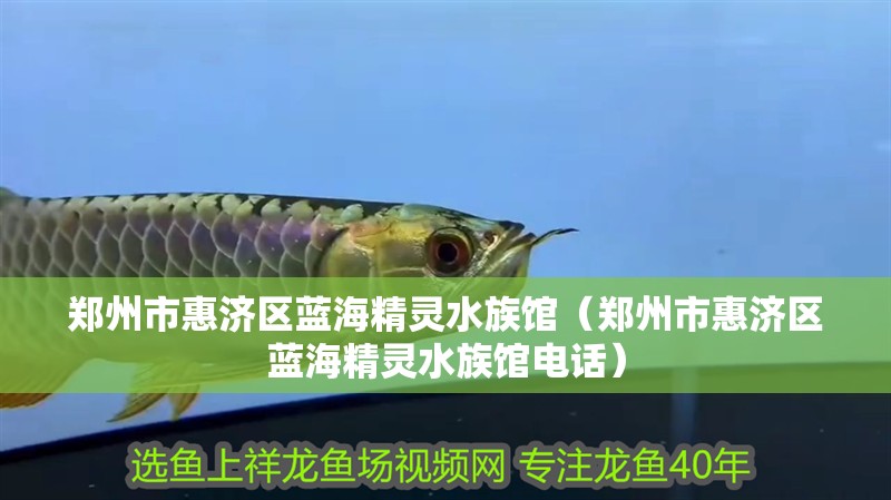 鄭州市惠濟區藍海精靈水族館（鄭州市惠濟區藍海精靈水族館電話）
