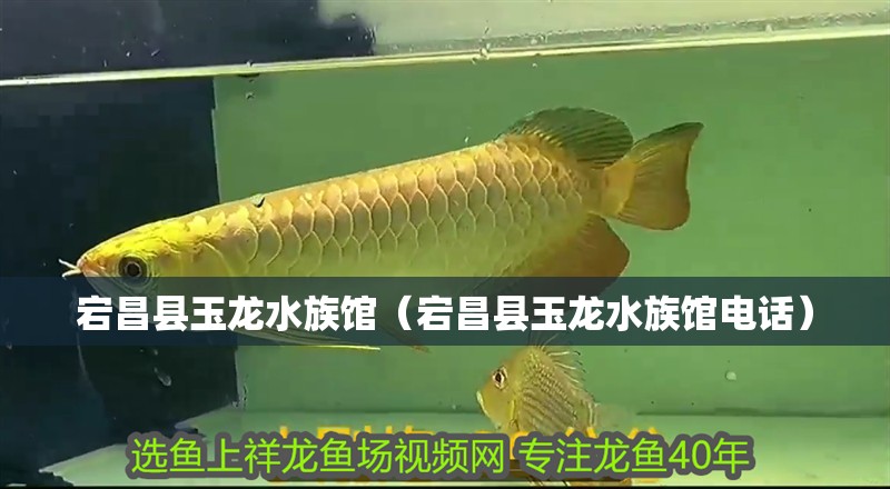 宕昌縣玉龍水族館（宕昌縣玉龍水族館電話）