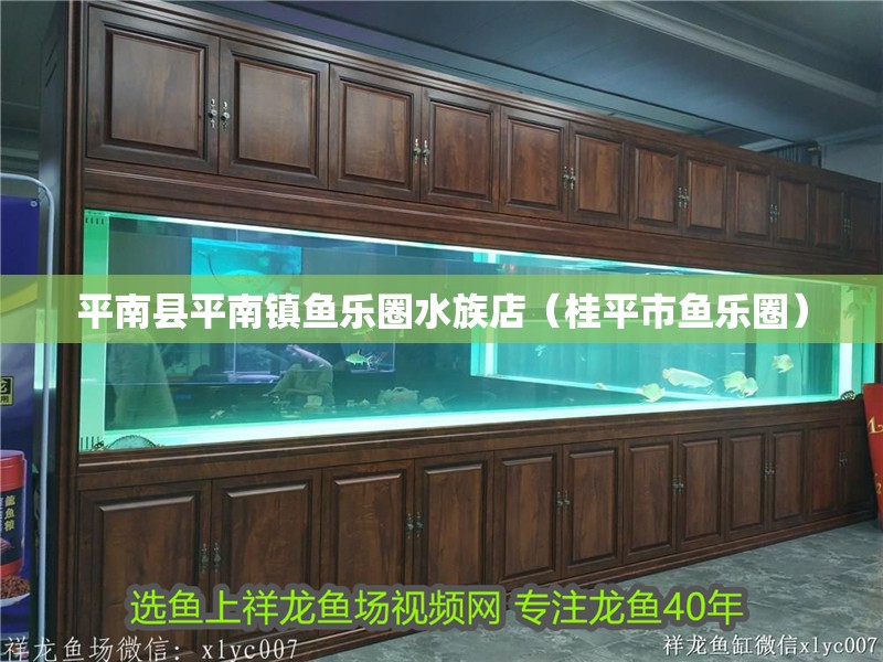 平南縣平南鎮魚樂圈水族店（桂平市魚樂圈）