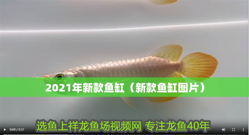 2021年新款魚缸（新款魚缸圖片）