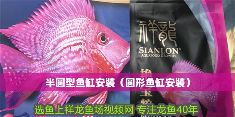 半圓型魚缸安裝（圓形魚缸安裝）