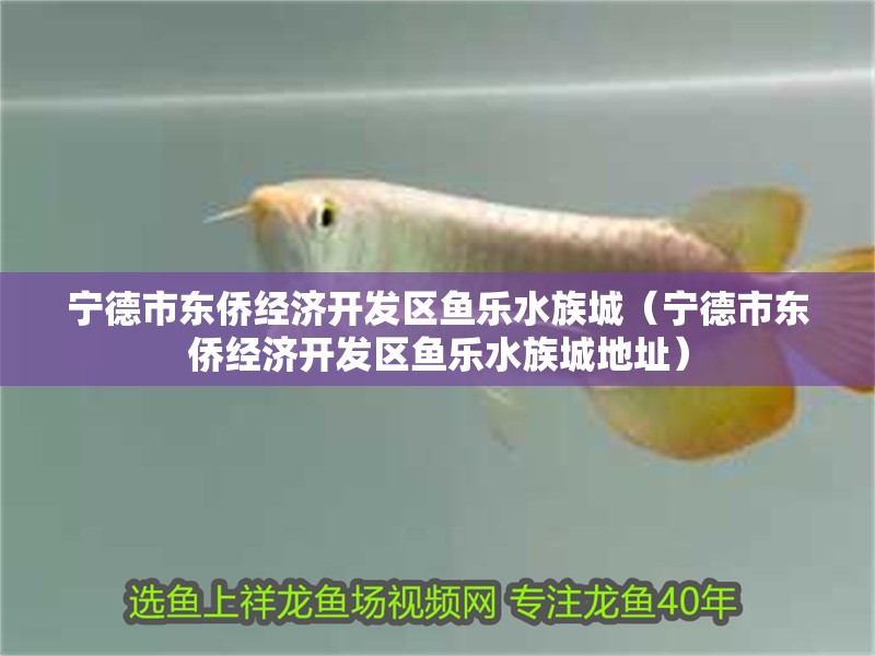 寧德市東僑經濟開發區魚樂水族城（寧德市東僑經濟開發區魚樂水族城地址）