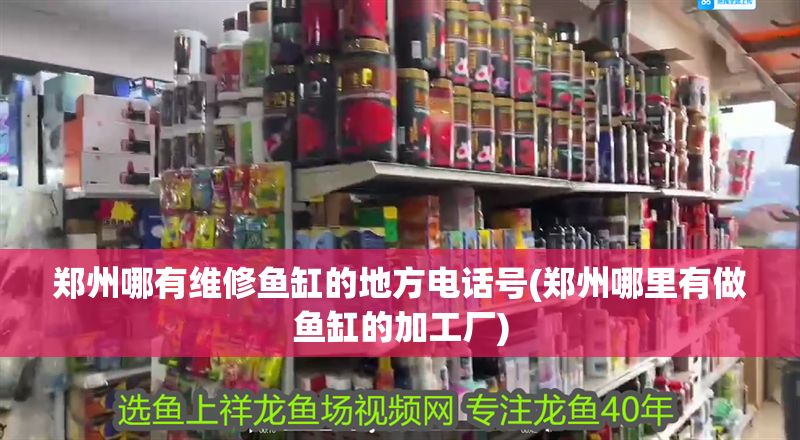 鄭州哪有維修魚缸的地方電話號(鄭州哪里有做魚缸的加工廠)