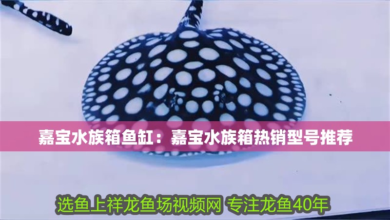 嘉寶水族箱魚缸：嘉寶水族箱熱銷型號推薦