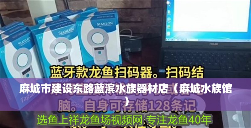 麻城市建設(shè)東路藍濱水族器材店（麻城水族館）