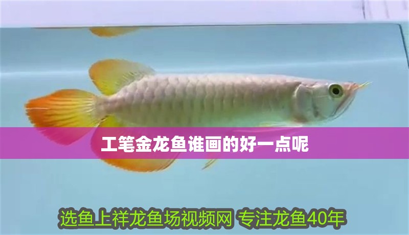 工筆金龍魚誰畫的好一點呢