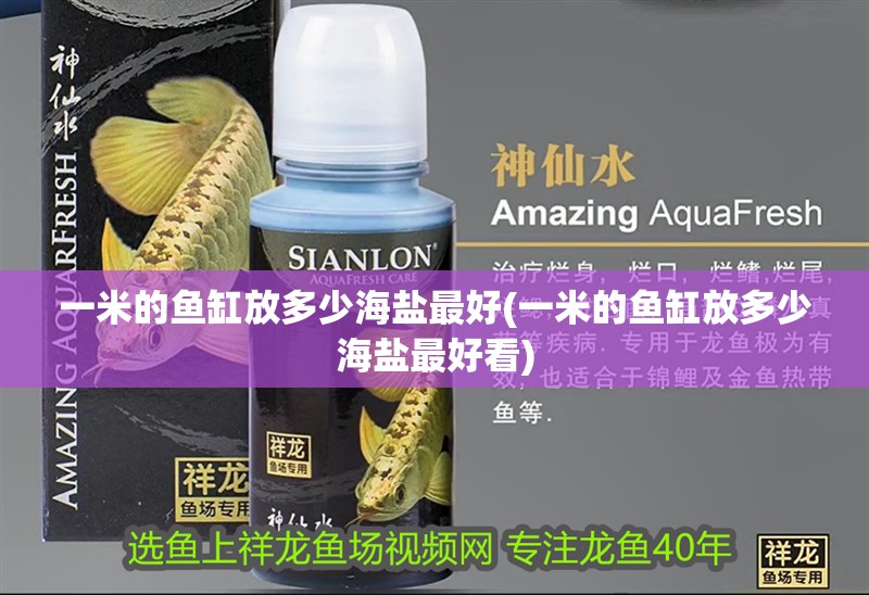 一米的魚缸放多少海鹽最好(一米的魚缸放多少海鹽最好看)